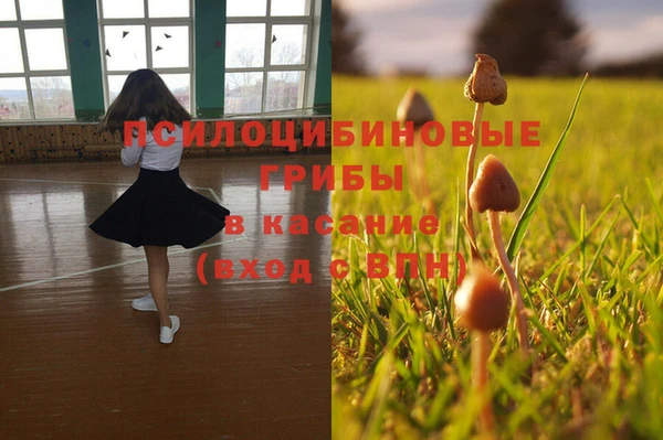 ПСИЛОЦИБИНОВЫЕ ГРИБЫ Баксан