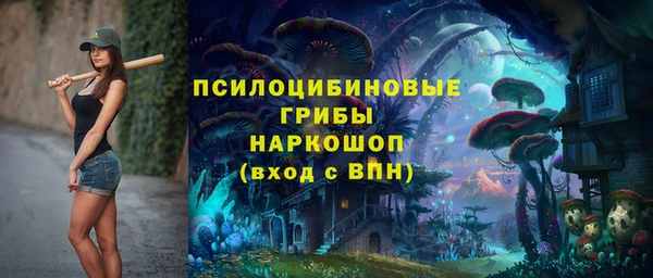ПСИЛОЦИБИНОВЫЕ ГРИБЫ Баксан