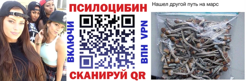как найти закладки Ногинск Псилоцибиновые грибы GOLDEN TEACHER