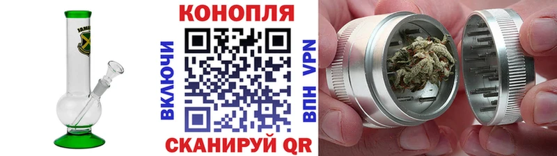 закладка  Ногинск  МАРИХУАНА OG Kush 